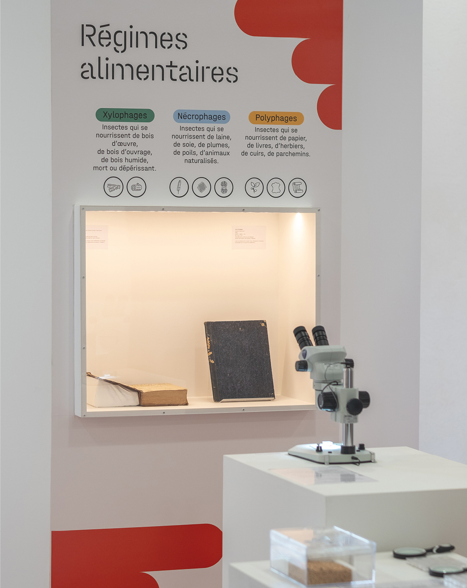 CroqueursPatrimoine, scénographie CroqueursPatrimoine, scénographie