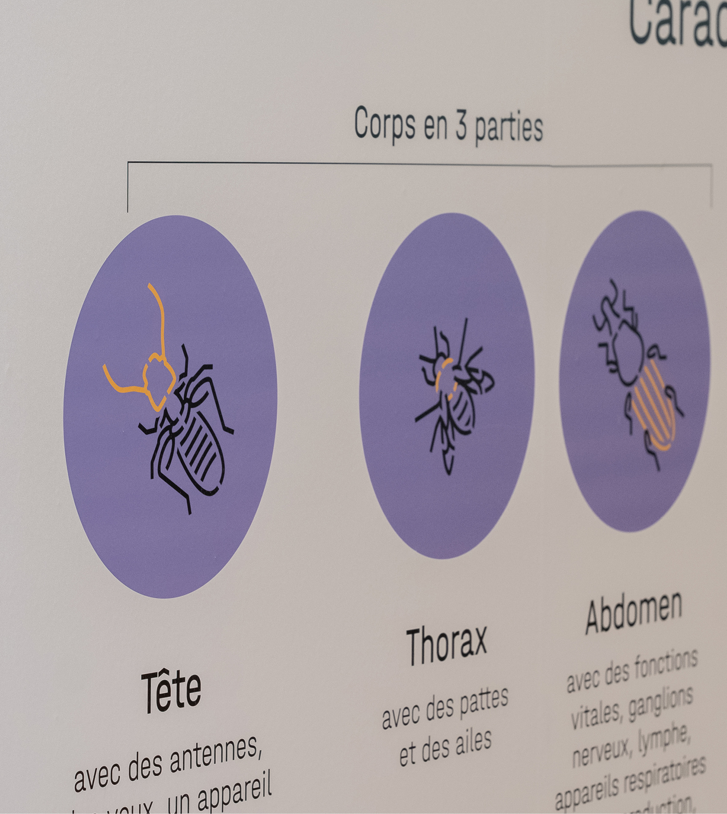CroqueursPatrimoine, scénographie CroqueursPatrimoine, scénographie