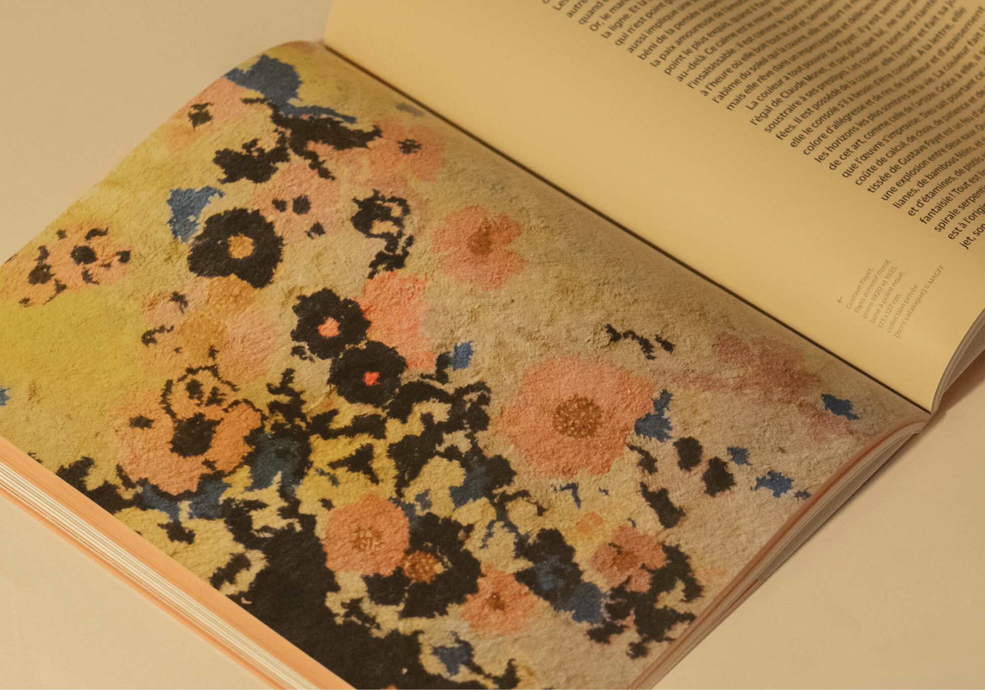 SiteWeb-Gabarit-FayetJardinsImaginaires18 Gustave Fayet et ses jardins imaginaires
