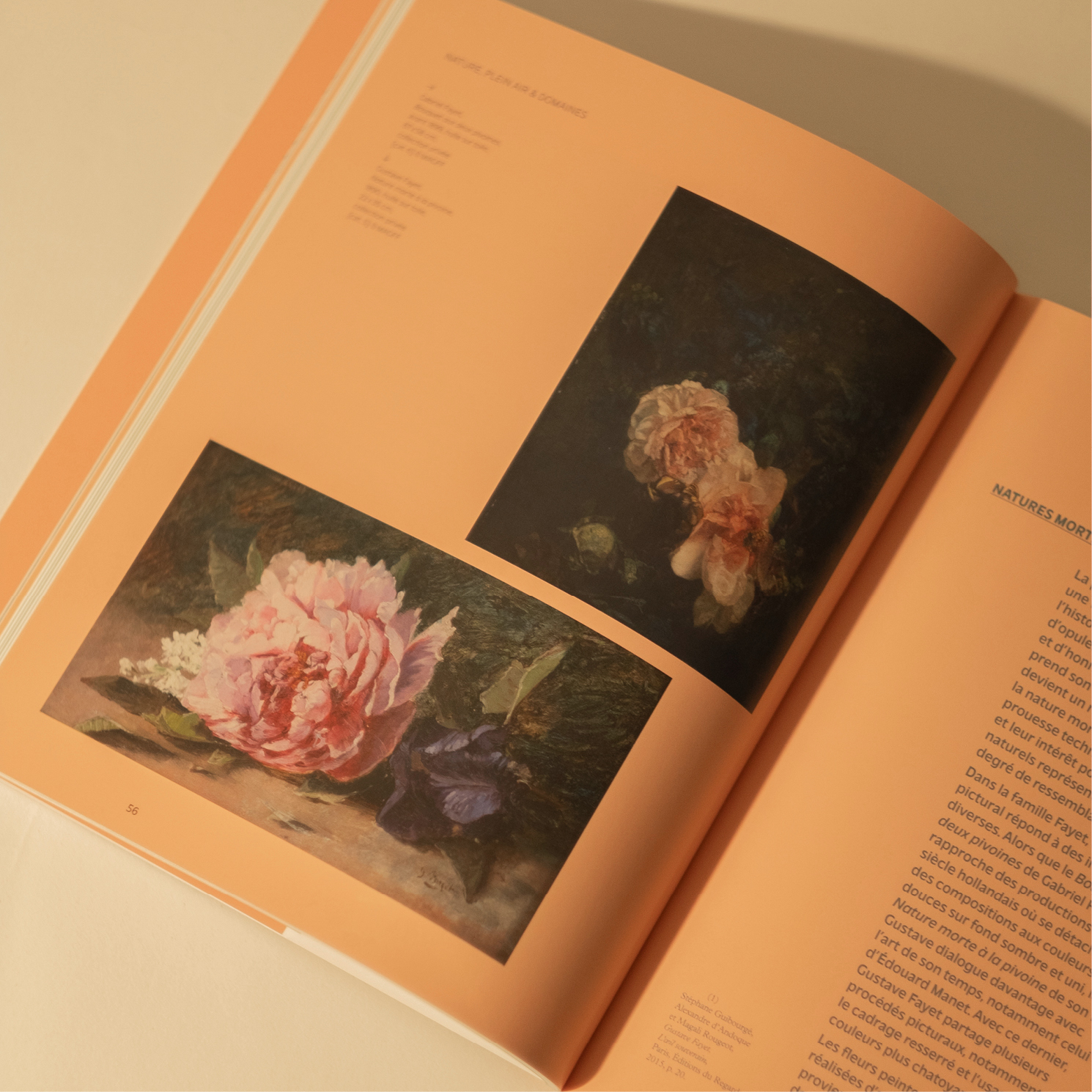 SiteWeb-Gabarit-FayetJardinsImaginaires6 Gustave Fayet et ses jardins imaginaires